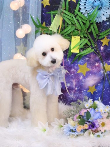 20250723ポンくん