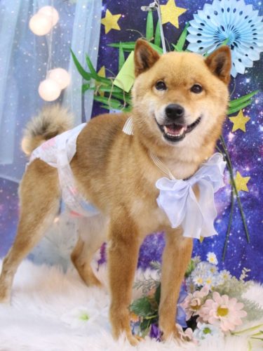 20250723シヴァくん