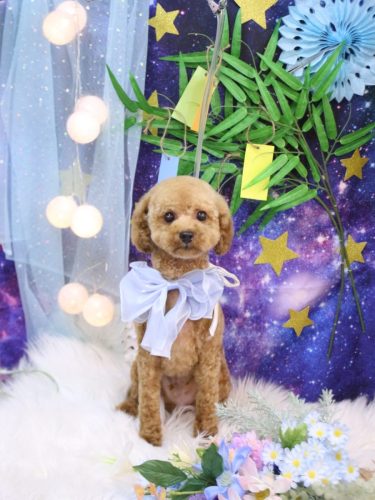 20250723チャッピーくん