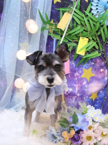 20250724クロムくん