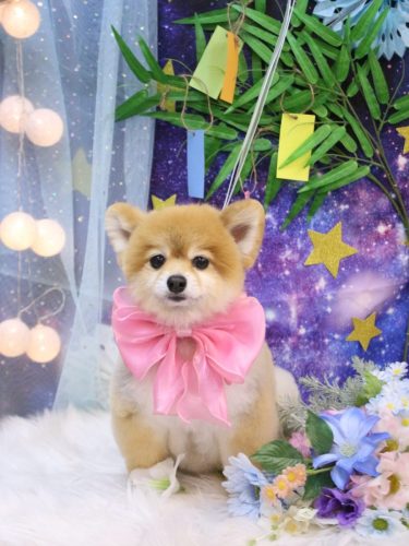 20250724むぎちゃん