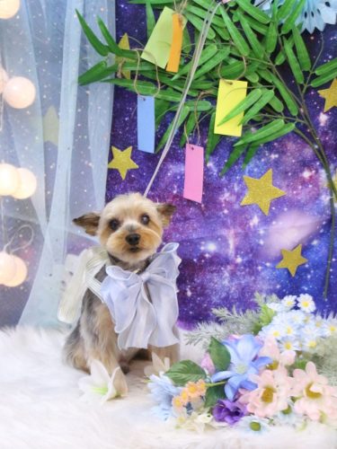 20250724ノアくん