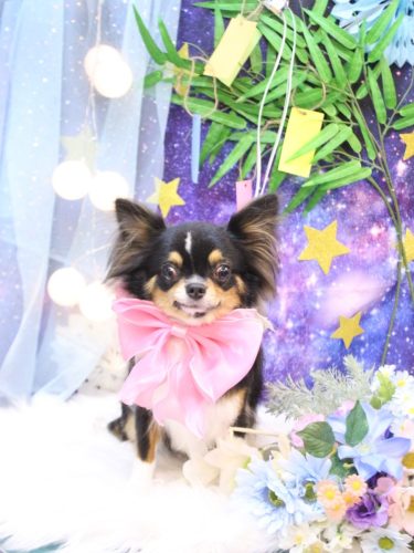 20250724天ちゃん