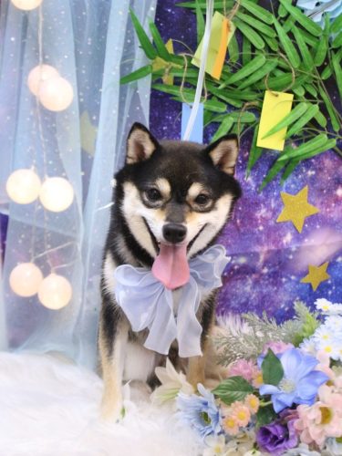 20250724ふうくん