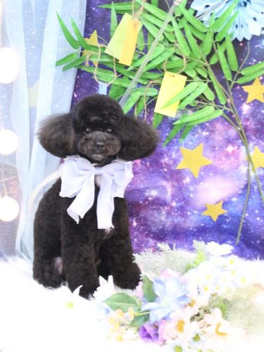 20250724コアくん 