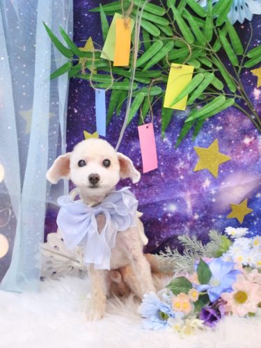 20250724れおんくん