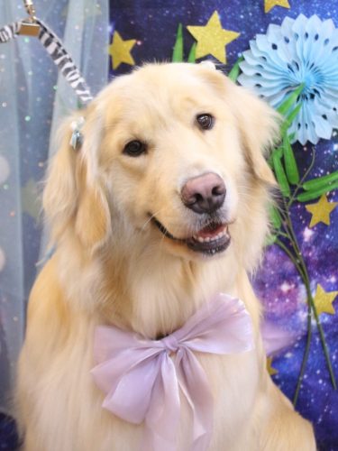 20250725ナナちゃん