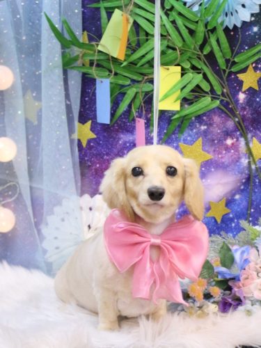 20250725コニちゃん