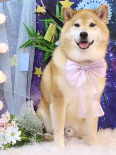 20250725こまくん