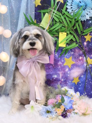 20250725パピコくん