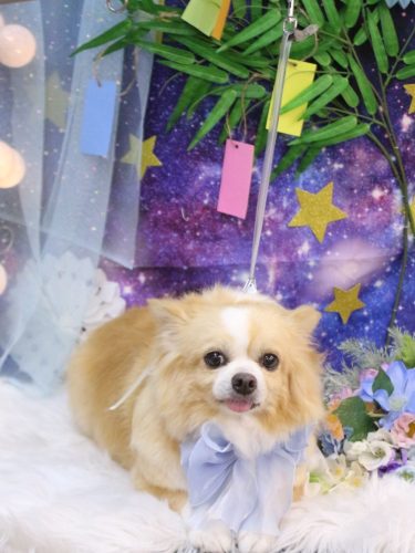 20250725マロ太くん