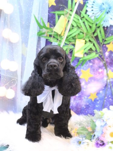 20250725そらくん