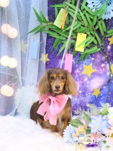 20250725モカちゃん