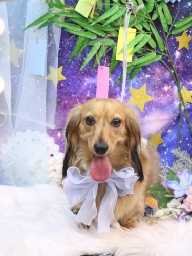 20250725ラテくん