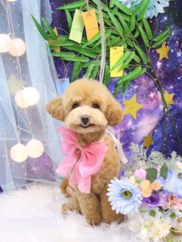 20250726アミーちゃん