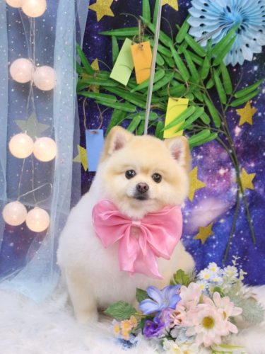 20250726むぎちゃん