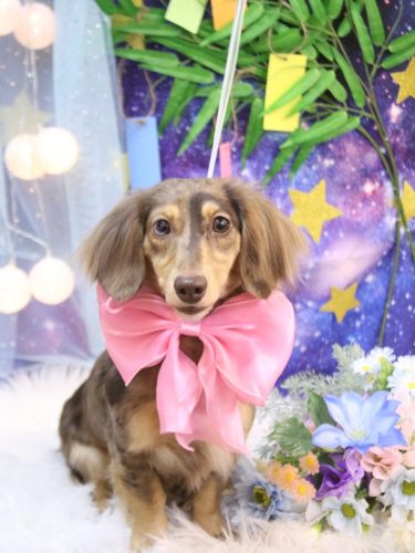 20250726エマちゃん