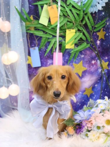 20250726レオくん