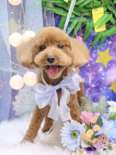 20250726レオくん