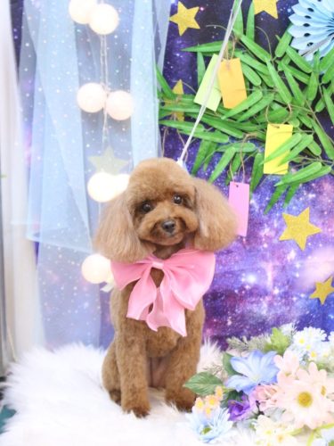 20250727ルアナちゃん