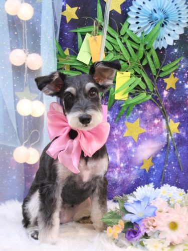 20250727音ちゃん