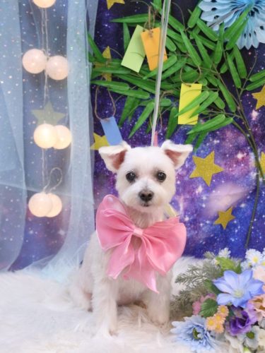 20250727ヒメちゃん