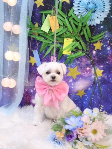 20250727マルちゃん