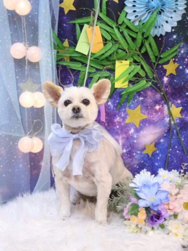 20250727ポンタくん