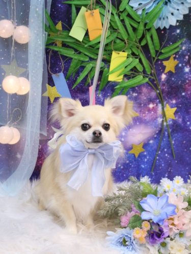 20250727とわくん