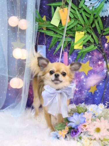 20250727れおくん