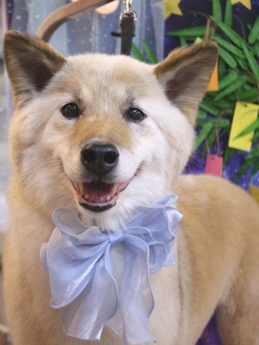 20250729れんくん