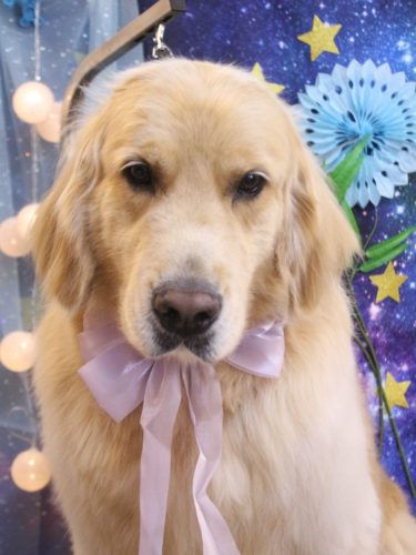 20250729ヨモギくん