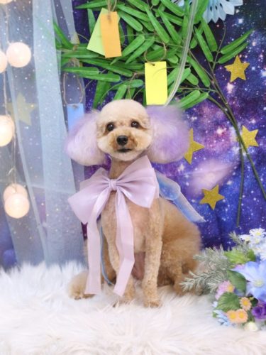 20250729ココちゃん