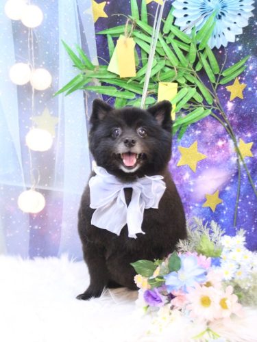 20250729バディーくん