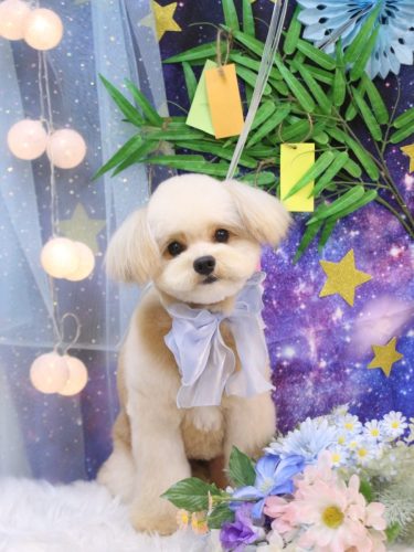 20250729ラモくん