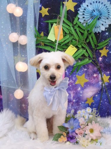 20250729ルッカくん