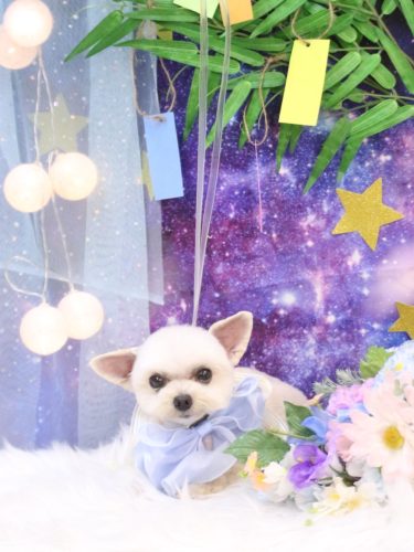 20250730じゅのんくん