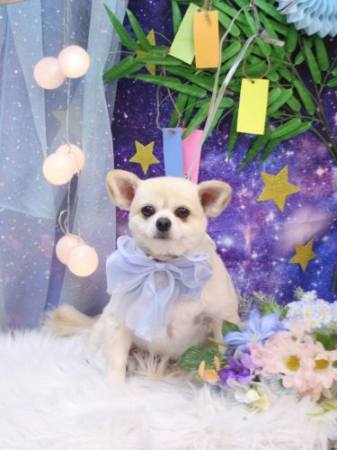 20250730ポロくん