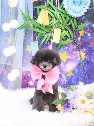 20250730NEROちゃん