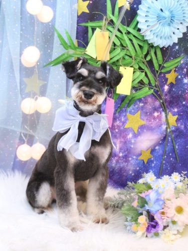 20250730門吉くん