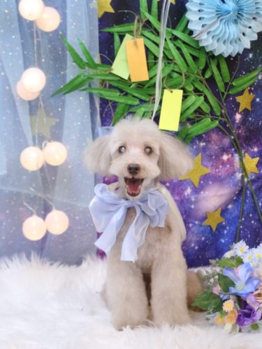 20250730ロンくん