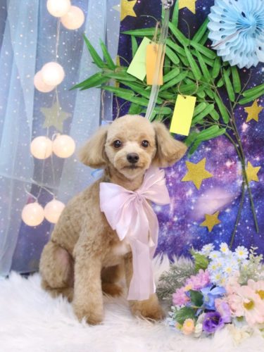 20250730レオくん