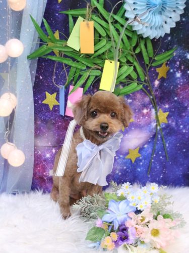 20250730くうくん