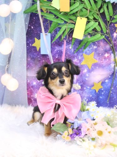 20250731叶空ちゃん