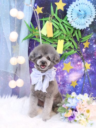 20250731るいくん