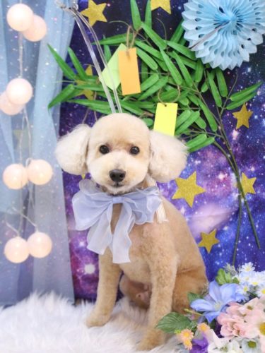 20250731モコくん