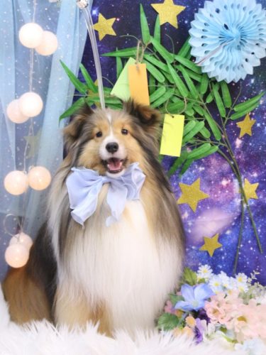 20250731ノアくん