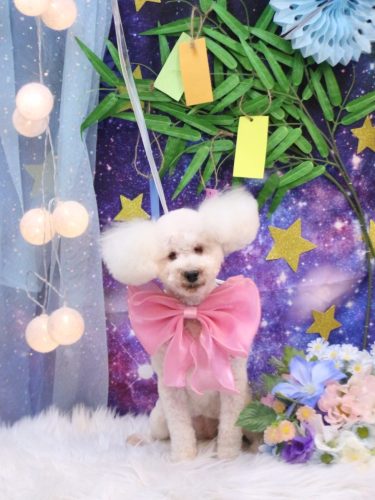 20250731あんちゃん