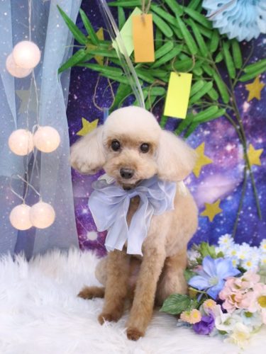 20250731うたちゃん