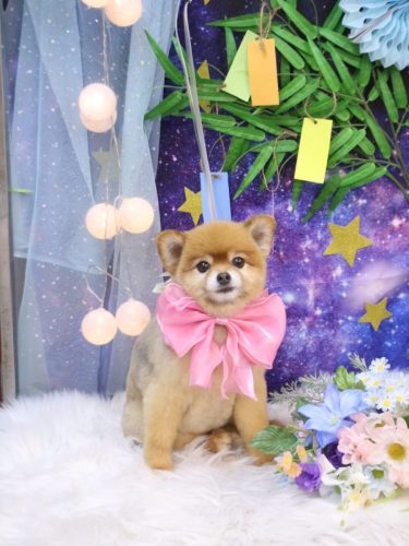 20250731のんちゃん